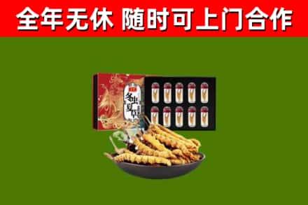灵山县回收冬虫夏草价格
