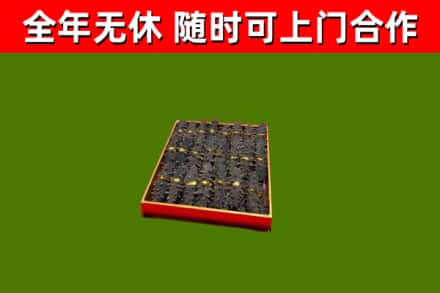 灵山县回收海参